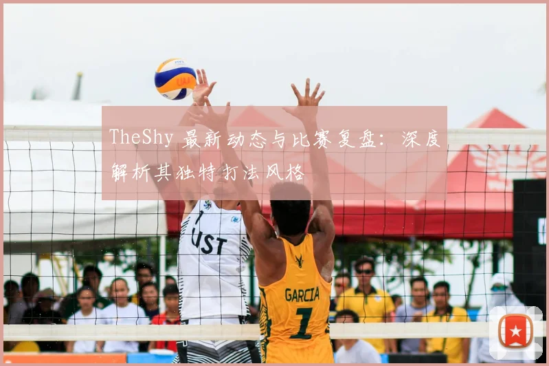 TheShy 最新动态与比赛复盘：深度解析其独特打法风格